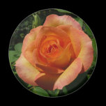 Peach Rose Magnet