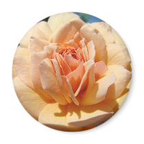 PEACH ROSE MAGNET Master Gardener Christmas Gifts
