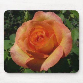 Peach Rose Mousepad mousepad