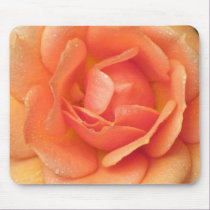Peach Rose Mousepad mousepads