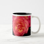 Peach Rose Mugs