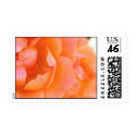 Peach Rose postage