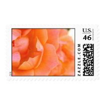 Peach Rose postage by Emerald_Fyre Peach Rose postage
