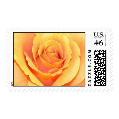 Peach rose postage