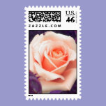 Peach Rose Postage postage