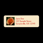 Peach Rose Return Address Label