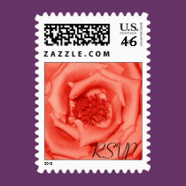 Peach Rose RSVP Stamp stamps