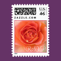 Peach Rose RSVP Stamp stamps