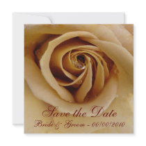 Peach Rose, Save the Date, Bride & Groom - 00/... Invite