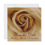 Peach Rose, Save the Date, Bride &amp; Groom - 00/... Invite