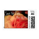 Peach Rose Save the Date Stamps