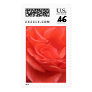 Peach Rose Stamp #1