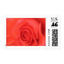 Peach Rose Stamp #2