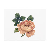 Peach Rose - Vintage Makeover. Post Cards