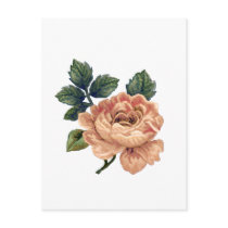 Peach Rose - Vintage Makeover. Postcards