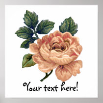 Peach Rose - Vintage Makeover. Print