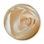 Peach Rose Wedding Magnet magnets