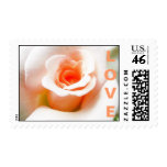 Peach Rose Wedding Stamp