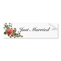 Peach Roses Bumper Sticker