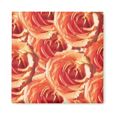 Peach Roses magnet by ggbythebay