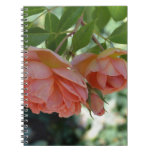 Peach Roses Notebook