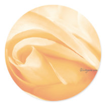 Peach Sherbet Rose Bud Wedding Envelope Seal stickers