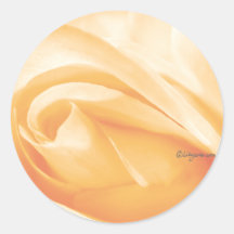 Peach Sherbet Rose Bud Wedding Envelope Seal Stickers