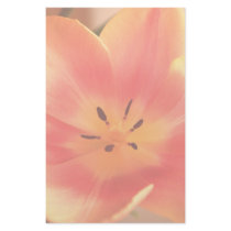 Peach Spring Tulip Stationery by SialiciousStationary Peach Spring Tulip Stationery