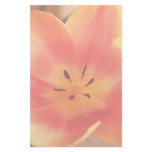 Peach Spring Tulip Stationery
