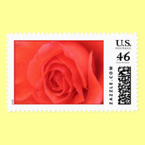 Peach Sunrise Rose Flower Postage Stamp stamps