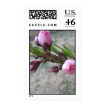 Peach Tree Buds postage by rabidpanterafan Peach Tree Buds postage