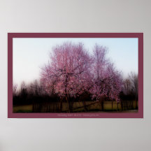 Peach Tree in Spring Print