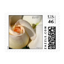 Peach White Rose Bud Wedding Postage