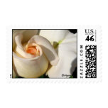 Peach White Rose Bud Wedding Postage