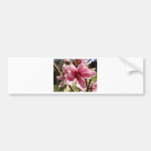 Peachblossom.jpg Bumper Sticker