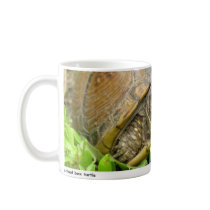 Peaches 01 mugs