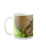 Peaches 01 mugs
