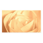 Peaches and Cream Rose Business Card Templates
