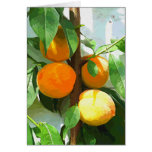 PEACHES GREETING CARDS