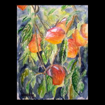 peaches peach still life art posters