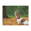 Peaches postcards by valleyvisions Peaches postcards