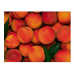 Peaches Postcard