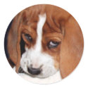Peaches Sticker by valleyvisions Peaches Sticker