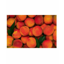 Peaches t-shirts by Recipes101 Peaches t-shirts
