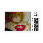 Peaches WoWzers Postage Stamp