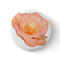 PeachRose copy buttons