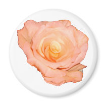 PeachRose copy magnets by Moondial PeachRose copy magnets