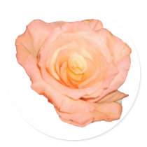 PeachRose copy stickers by Moondial PeachRose copy stickers