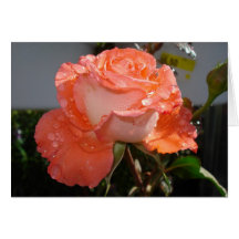 Peachrose Greeting Card