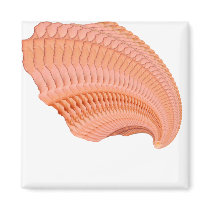 PeachRoseFractal copy magnets by Moondial PeachRoseFractal copy magnets